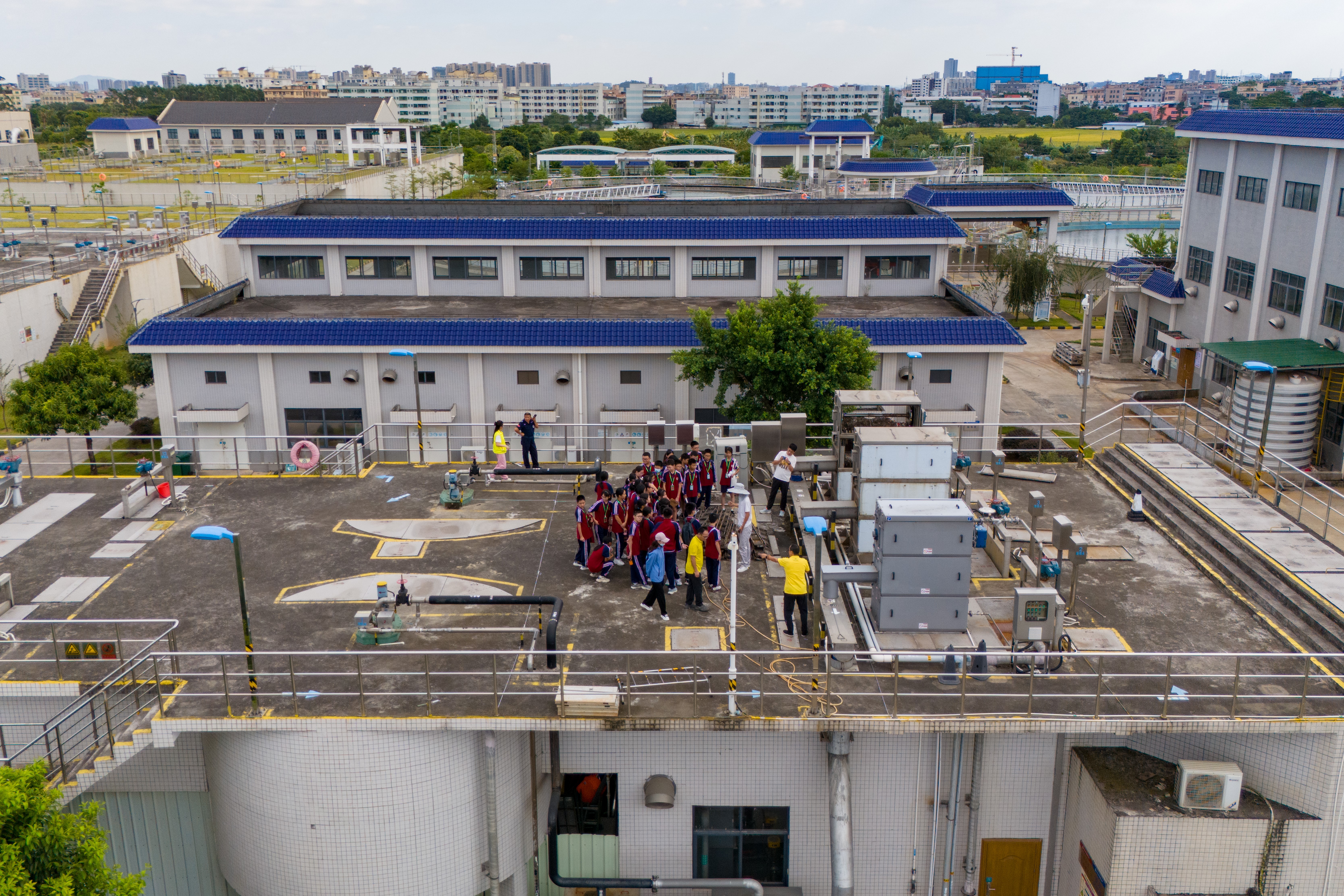 20241101-DJI_20241101151258_0483_D1.jpg