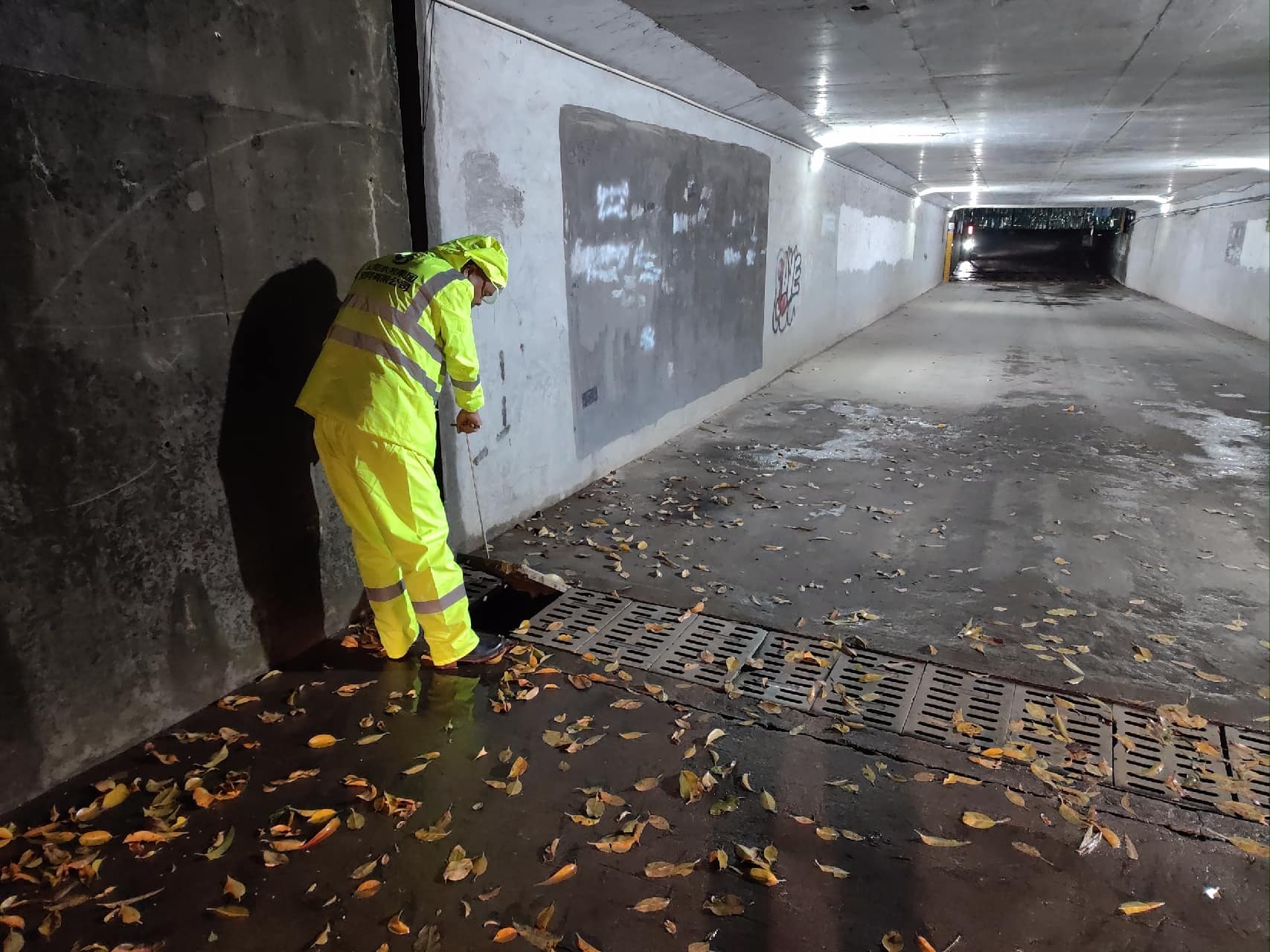 第四分公司运营工作部雨水清疏小组组员清扫树叶垃圾.jpg